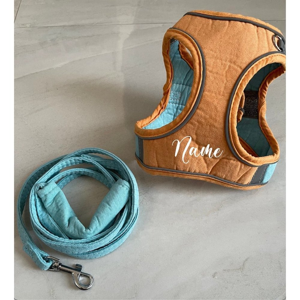 Custom pet harness with leash | Custom dog harness with leash